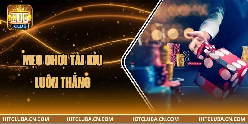 5+ Mẹo Chơi Tài Xỉu Luôn Thắng Đúc Kết Từ Cao Thủ HITCLUB