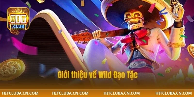 Ngày càng có nhiều người chơi tham gia Slot Wild HITCLUB.